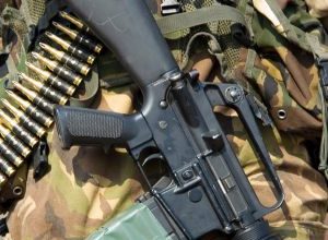 Bracconaggio nel Gargano