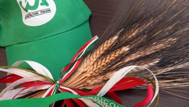 Grano estero a Manfredonia