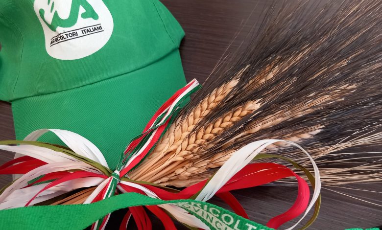 Grano estero a Manfredonia