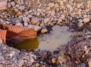 Scarico illegale a Monopoli