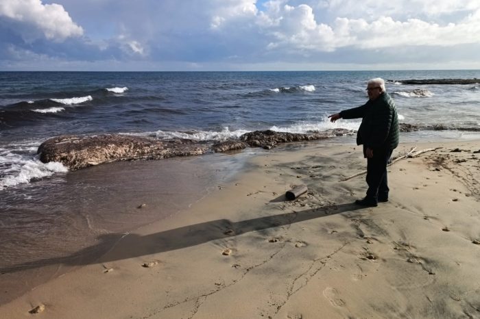Emergenza a Casalabate: balena spiaggiata minaccia la Costa di Trepuzzi