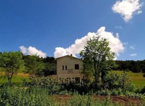 recupero bosco di Acquatetta