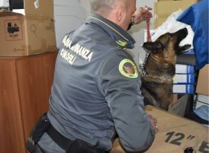 Operazione Antidroga Taranto