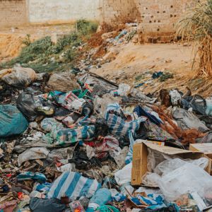 Ecomafie in Puglia: un allarme ambientale crescente