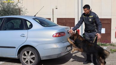 Operazione Antidroga a Taranto