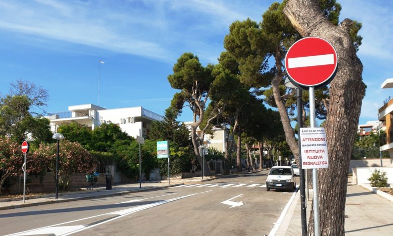 Allarme caduta alberi Viale de Gemmis