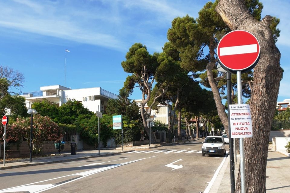 Allarme caduta alberi Viale de Gemmis