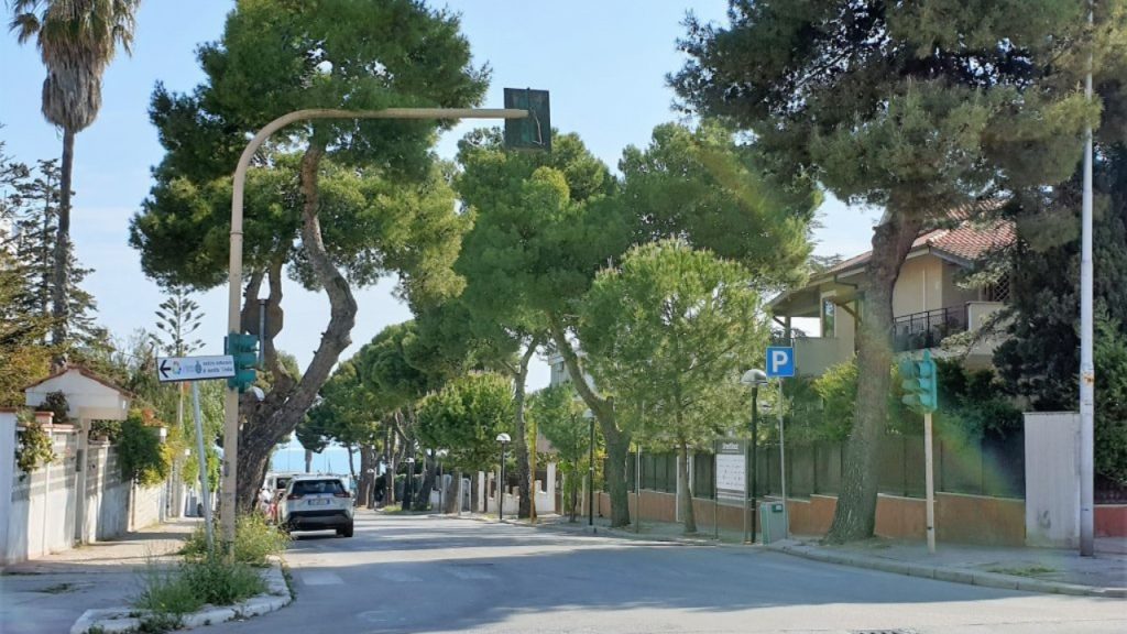 Allarme caduta alberi Viale de Gemmis.