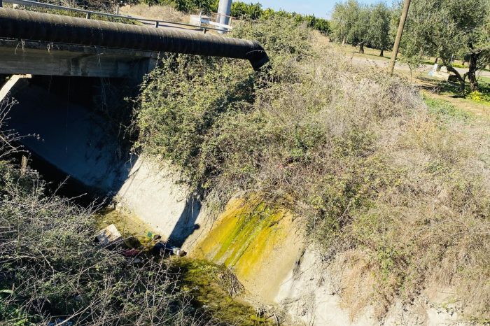 Infrastrutture vecchie, scarsa manutenzione e acqua troppo cara: in Puglia agricoltori di serie B