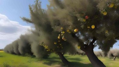 Puglia in allarme per i venti forti, scatta l'allerta per i venti forti che mettono a rischio la sicurezza degli alberi.
