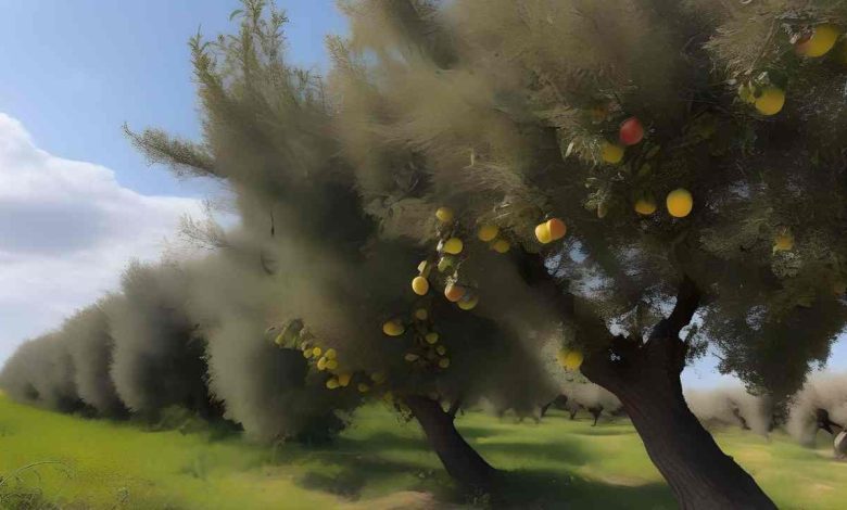 Puglia in allarme per i venti forti, scatta l'allerta per i venti forti che mettono a rischio la sicurezza degli alberi.