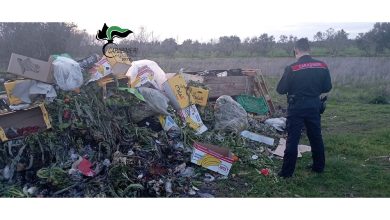 Discarica Abusiva a Matino