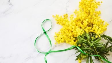 Omaggio per tutte le donne