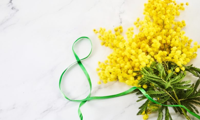 Omaggio per tutte le donne