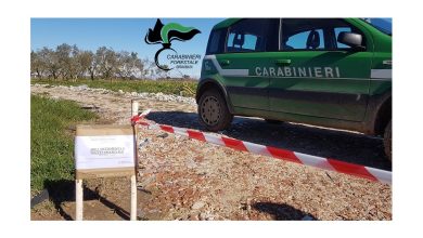 Interventi abusivi a Ceglie Messapica