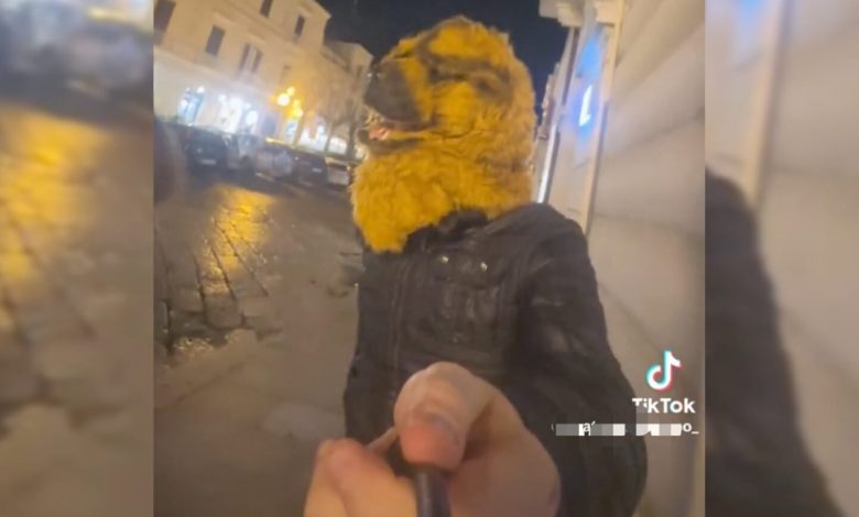 Trani protagonista di un TikTok poco piacevole