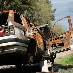 Foggia in lotta: rifiuti e carcasse invadono i terreni