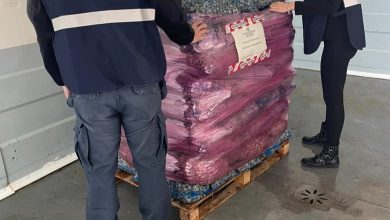 Operazione Rete Pulita