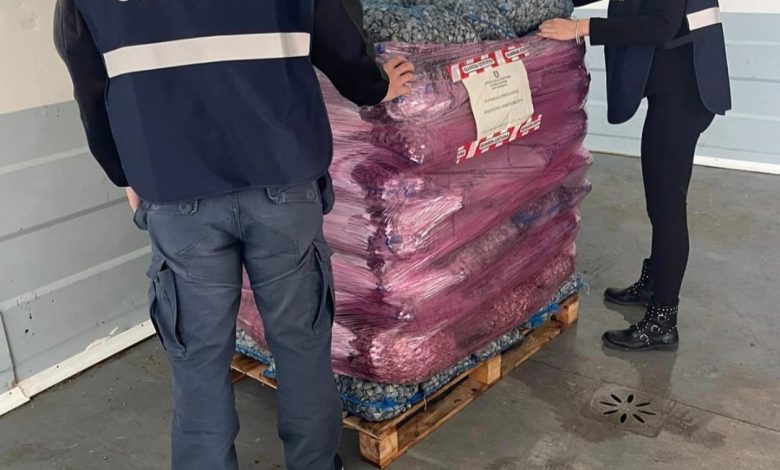 Operazione Rete Pulita