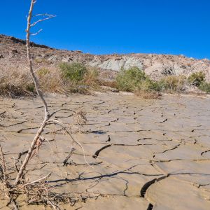 Allarme siccità in Puglia