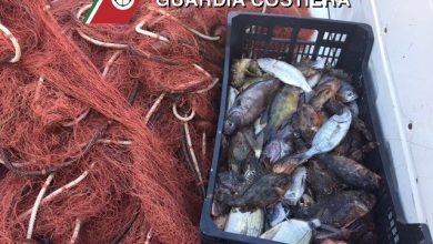 Controlli marittimi a Brindisi