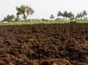 Consumo di suolo in Puglia