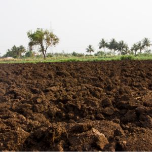 Consumo di suolo in Puglia