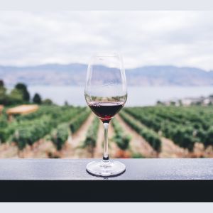 Export vino Puglia
