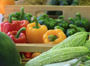 Mercato contadino a Bari