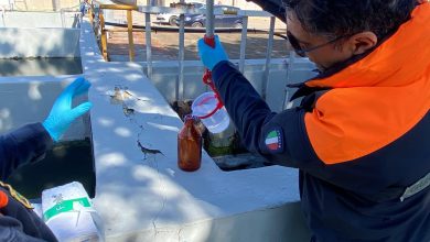 Multe in arrivo a Torricella