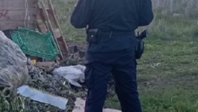 Fiamme tossiche a Minervino