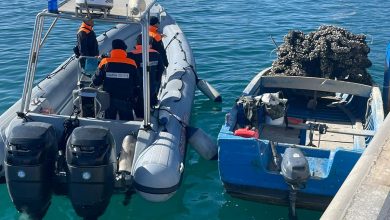 Guardia costiera scopre impianto abusivo di mitili a Taranto