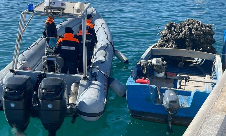 Guardia costiera scopre impianto abusivo di mitili a Taranto