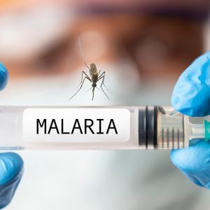 Zanzara malarica ritorna in Puglia
