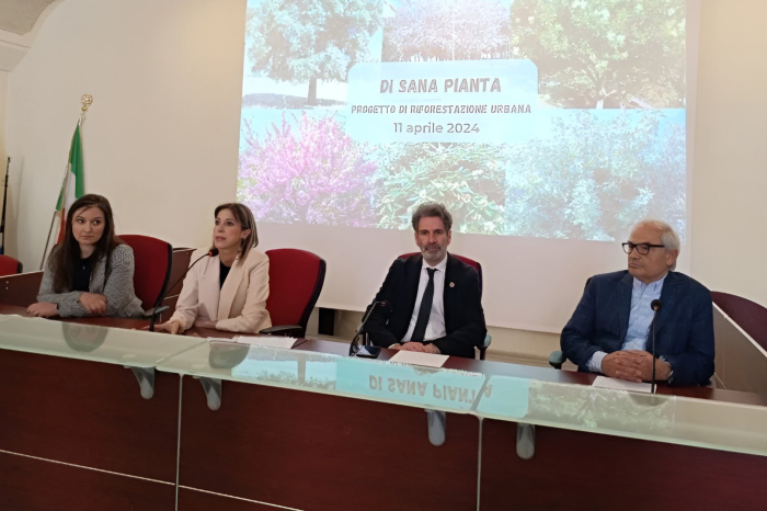 Lecce sempre più green: 152 nuovi alberi grazie al progetto 'Di sana pianta'
