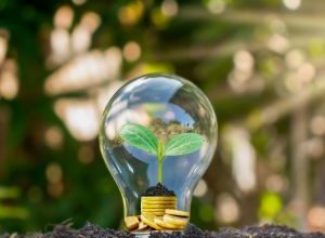 Energie Rinnovabili in Puglia