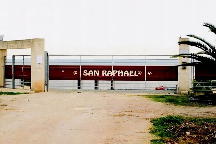 Canile 'San Raphael' restituito ai proprietari: la Corte d'Appello revoca confisca