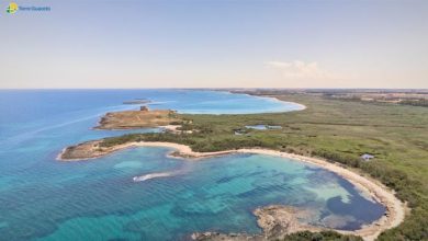 Fermo pesca annuale a Torre Guaceto