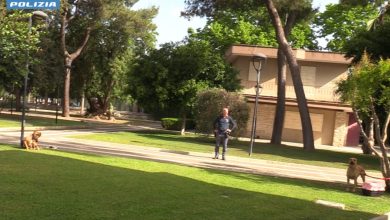 Polizia di Stato in Piazza Italia