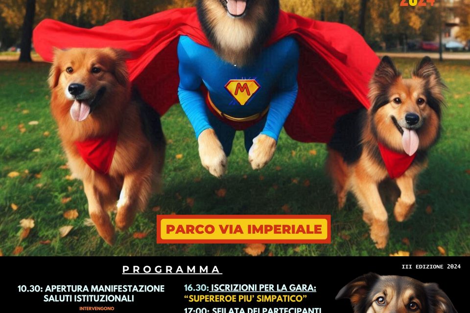 Il Meticcio più Bello è tornato a Foggia per celebrare l'amore per gli animali. Partecipa a una giornata coinvolgente con sfilate, gare e attività al Parco Via Imperiale il 12 maggio.