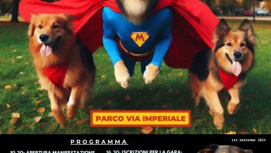 Il Meticcio più Bello è tornato a Foggia per celebrare l'amore per gli animali. Partecipa a una giornata coinvolgente con sfilate, gare e attività al Parco Via Imperiale il 12 maggio.