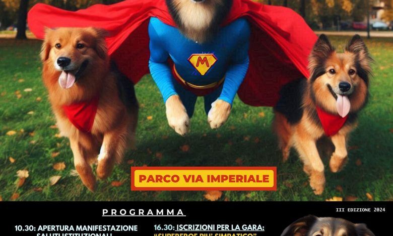 Il Meticcio più Bello è tornato a Foggia per celebrare l'amore per gli animali. Partecipa a una giornata coinvolgente con sfilate, gare e attività al Parco Via Imperiale il 12 maggio.