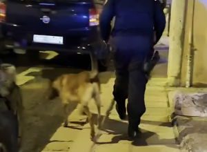 Cocaina a Minervino Murge: 14 arresti per spaccio