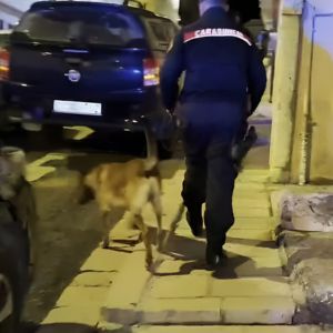 Cocaina a Minervino Murge: 14 arresti per spaccio