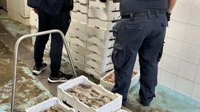 Controlli Manfredonia: chiuso locale e sequestrati 270 chili di pesce
