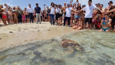 Area Protetta Amica delle Tartarughe Marine