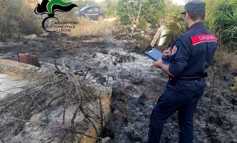 donna Gallipoli brucia rifiuti,