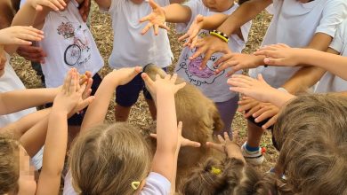 Emozioni cani bambini scuola