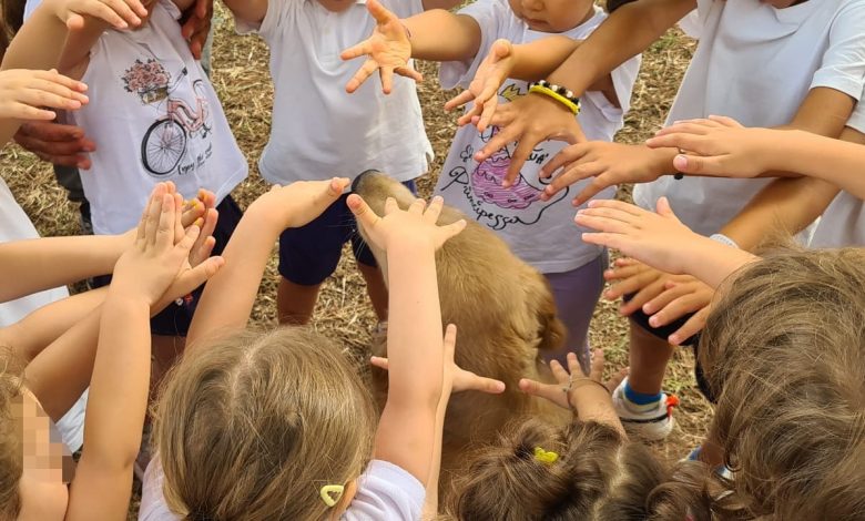 Emozioni cani bambini scuola