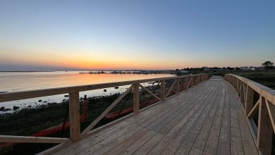 Pista Ciclo Pedonale